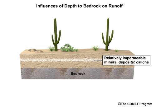 Graphic showing the location of a caliche in a desert soil profile.