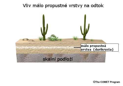Graphic showing the location of a caliche in a desert soil profile.