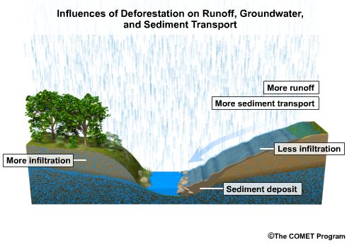 Cross-section showing effect of deforestation on runoff, groundwater and sediment transport.