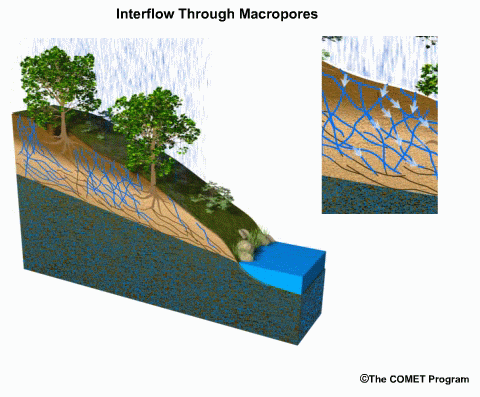 Animation showing how tranmissivity feedback through macropore networks can enhance storm runoff beneath the soil surface.