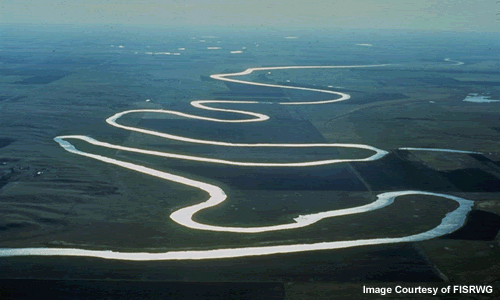 Photo of highly sinuous (meandering) river with a very extensive  floodplain.
