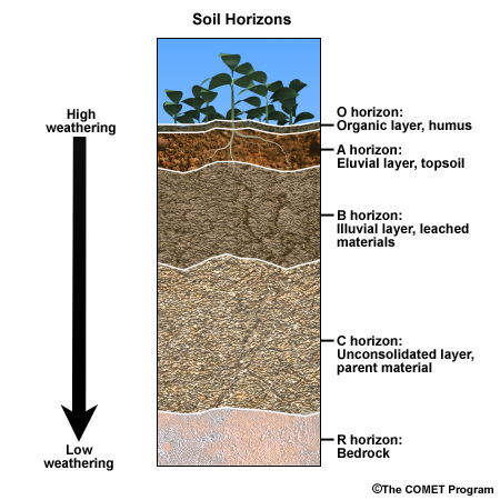 Soil cross-section schematic showing soil horizons.