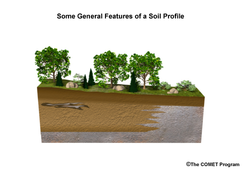 Graphic showing the different basic characteristics of a soil profile.
