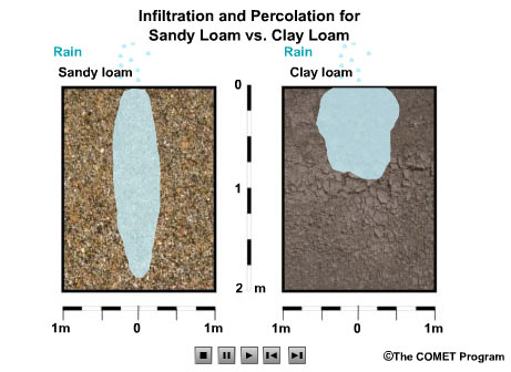 Animation comparing rain falling onto two volumes of soil: one that is sandly loam and one that is clay loam. Blue raindrops fall uniformly over both boxes and begin to infiltrate the soil surfaces. The rain infiltrates the sandy loam soil volume more deeply, but within a relatively narrow vertical channel. The rain infiltrates the clay loam volume in a shallower, more horizontally spread out pattern