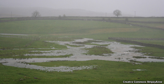 Standing water and runoff channels in a grassy field on a rainy day, United Kingdom