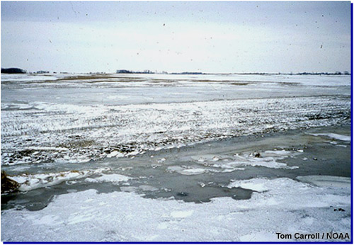 Photograph of pooling meltwater and basal ice. 